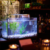 夏はアクアリウムを眺めながらいただくカクテルは格別です◎