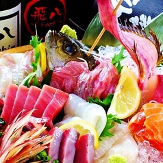 おまかせ鮮魚盛り合わせ7種盛り