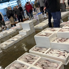 海鮮居酒屋　魚弦水産の写真2