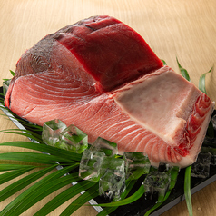 天然生本マグロ