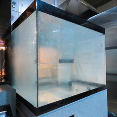 生け簀からの新鮮な海の幸をその場で味わおう！