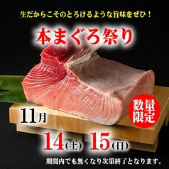 11/14(土)～15(日)国産本生まぐろ1本買い《生本まぐろ祭り》
