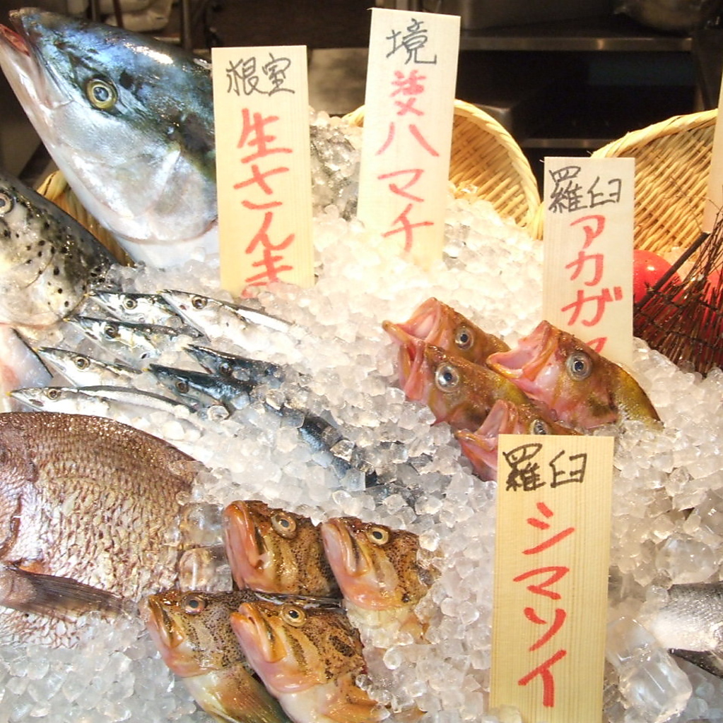 【今が旬】活きのいい鮮魚を毎日多数ご用意しております！かっこにきたら鮮魚盛り合わせは必須です。