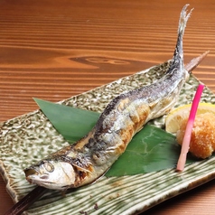 【期間限定】秋刀魚の塩焼き