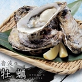 料理メニュー写真 【真牡蠣】9月～4月が旬　【岩牡蠣】5月～8月が旬