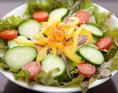 コンビネーションフレッシュサラダ