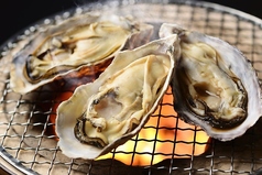 サロマ湖 芭露産カキの写真