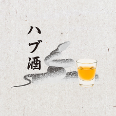 ハブ酒グラス(ロック or ストレート)