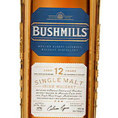 ブッシュミルズ シングルモルト12年(シングル30ml)