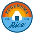 KUGENUMA RICE 鵠沼ライスのロゴ