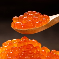 北海道イクラ(並盛り)