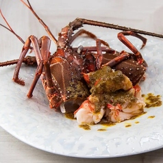 和食 鉄板 しろよしのコース写真