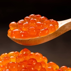 北海道(特盛り)