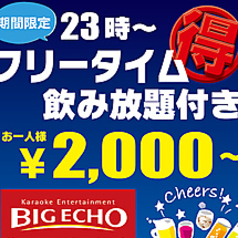 ビッグエコー BIG ECHO 梅田DDハウス店のコース写真