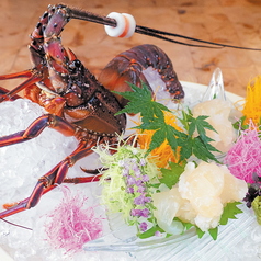 日本料理 あぐら屋のコース写真