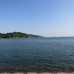 海鮮問屋 城の雰囲気3