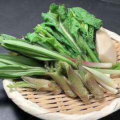 山菜の天ぷら(3種)／アスパラバター