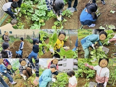 【思い出作り】体験系イベント◆週末開催