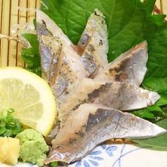 あじ刺身