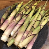 隠れ酒肴ほらあなのスタッフ3