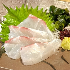 活鯛造り
