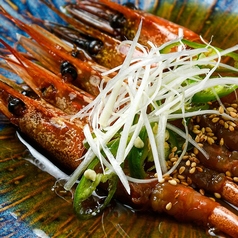 無常 musangの特集写真