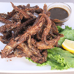 マレクマッチャ