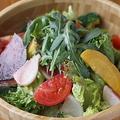 料理メニュー写真 季節野菜のデトックスサラダ