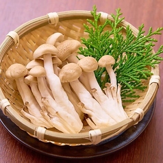 しめじ/豆腐
