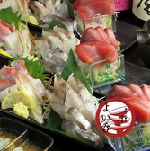 居魚屋 よい呑の詳細