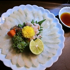 オコゼ刺身 大