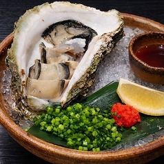 平戸田平仕入れ 岩ガキ (夏季限定)