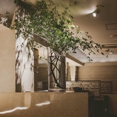 BAR LOUNGE RUDAN バーラウンジルダンの雰囲気2