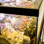 貝料理専門店 蛤やのおすすめ料理3