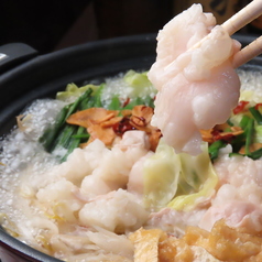 洒落 BAL カメレオンのおすすめポイント1