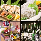 湘南鮮魚と炭焼牛たん かっこ藤沢南口店のおすすめ料理3