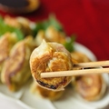 料理メニュー写真&nbsp;しょうがギョーザ（にんにくなし）