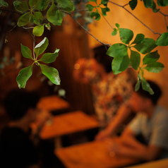 居酒屋増えた 裏裏飯屋のおすすめドリンク2