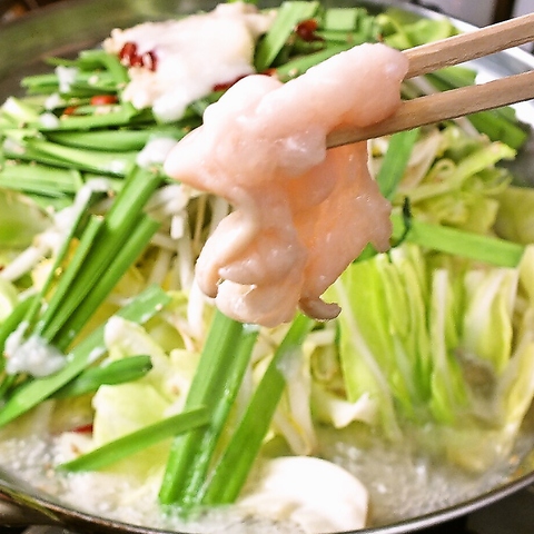 ������ �E�n ���P�J�X