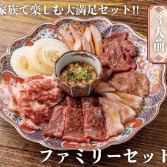 ファミリーセット【3人前】