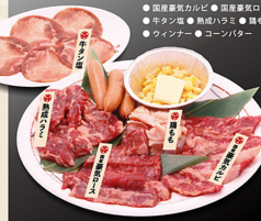 【焼肉盛込】バラエティー盛【3~4人前】