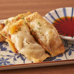 馬肉の揚げ餃子