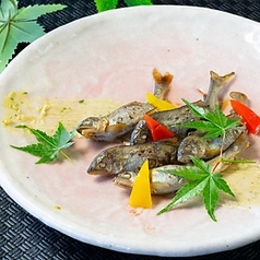 稚鮎煮浸し敷蓼味噌