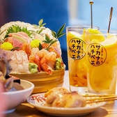 サカナのハチベエ 金山店の写真