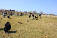 荒川運動公園　バーベキュー広場の雰囲気1