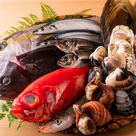 立川で人気の高級鮮魚卸問屋『鮮』が選ぶ鮮魚の数々。