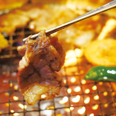 焼肉 しゃぶしゃぶ 京都 美南特集写真1