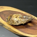 料理メニュー写真&nbsp;牡蠣　1個