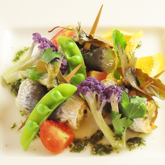 シャトン特集写真1