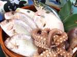 中央市場から仕入れる瀬戸内近海鮮魚など鮮度抜群のお魚をご用意しています。